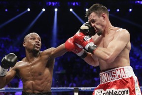 开云中国-场边花絮：明星球员的日常趣味瞬间，明星球员是啥意思