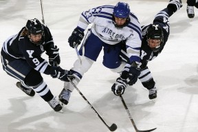 开云·体育官网APP下载-德甲最佳战术崭露头角，精彩反击频频奏响，德甲最佳十一人