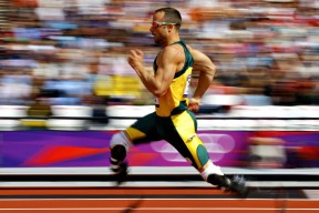 开云官方-“荣耀瞬间：冠军车手的感人时刻”，荣耀夺冠