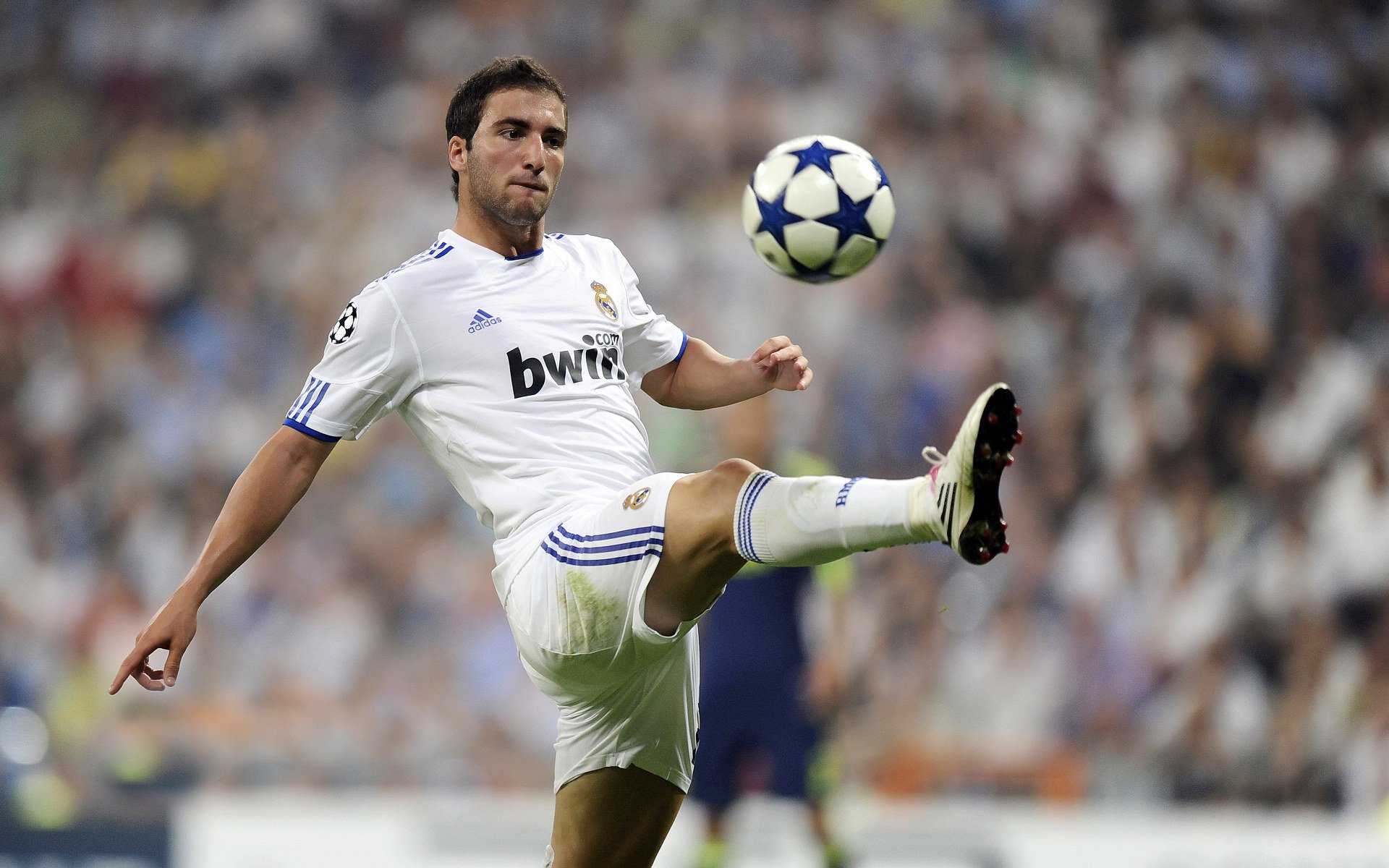 关注焦点:本队最大亮点与不足分析,队伍亮点