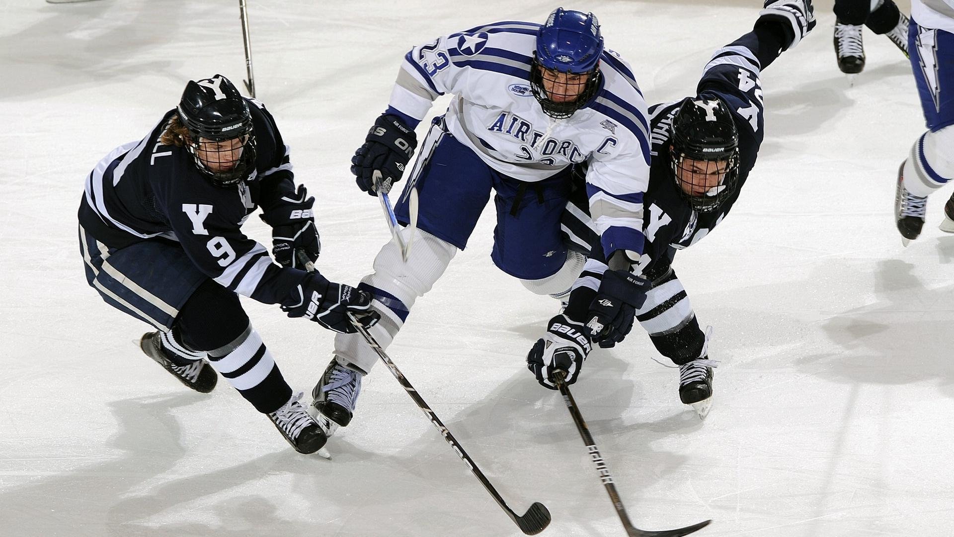 德甲最佳战术崭露头角,精彩反击频频奏响,德甲最佳十一人